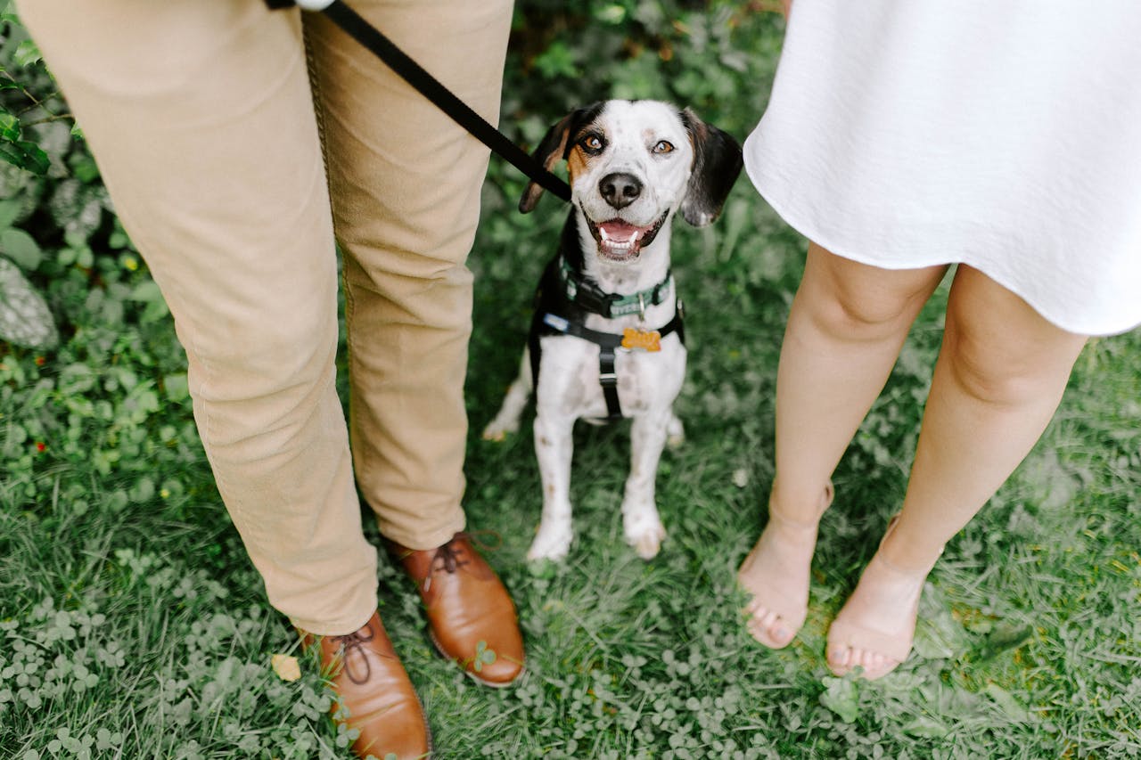services-01 Happy dog with a couple standing on grass in a serene outdoor setting.